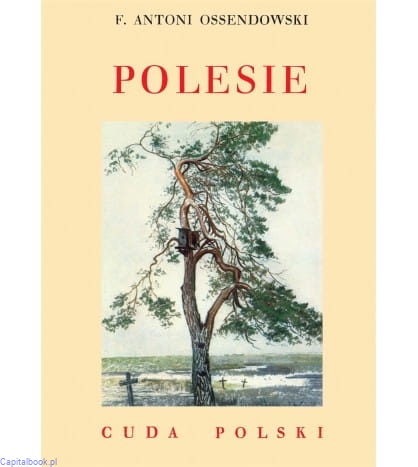 polesie.jpg